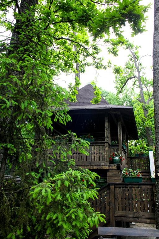 Cornul Vanatorului Bungalows Pitesti Exterior photo