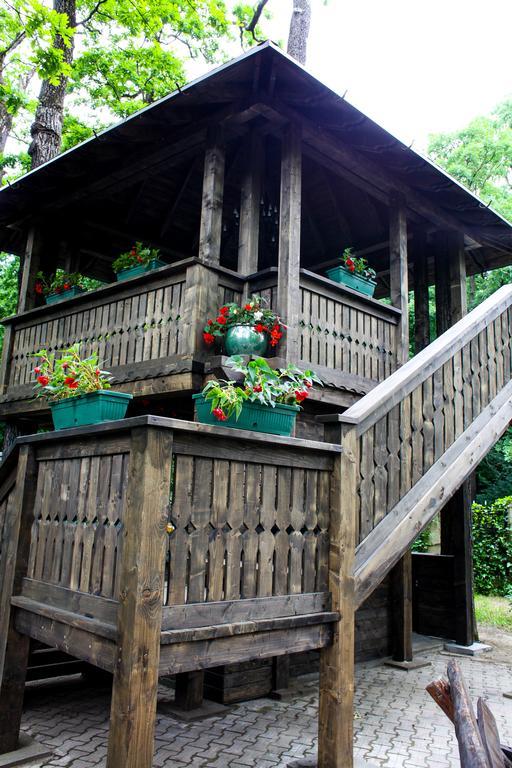 Cornul Vanatorului Bungalows Pitesti Exterior photo