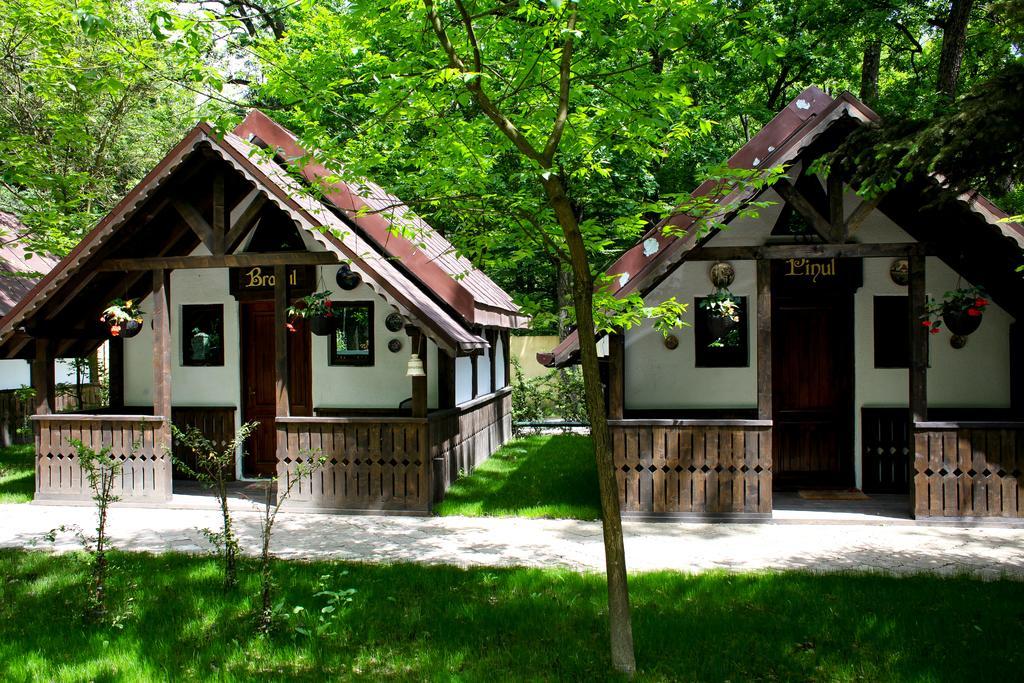 Cornul Vanatorului Bungalows Pitesti Exterior photo
