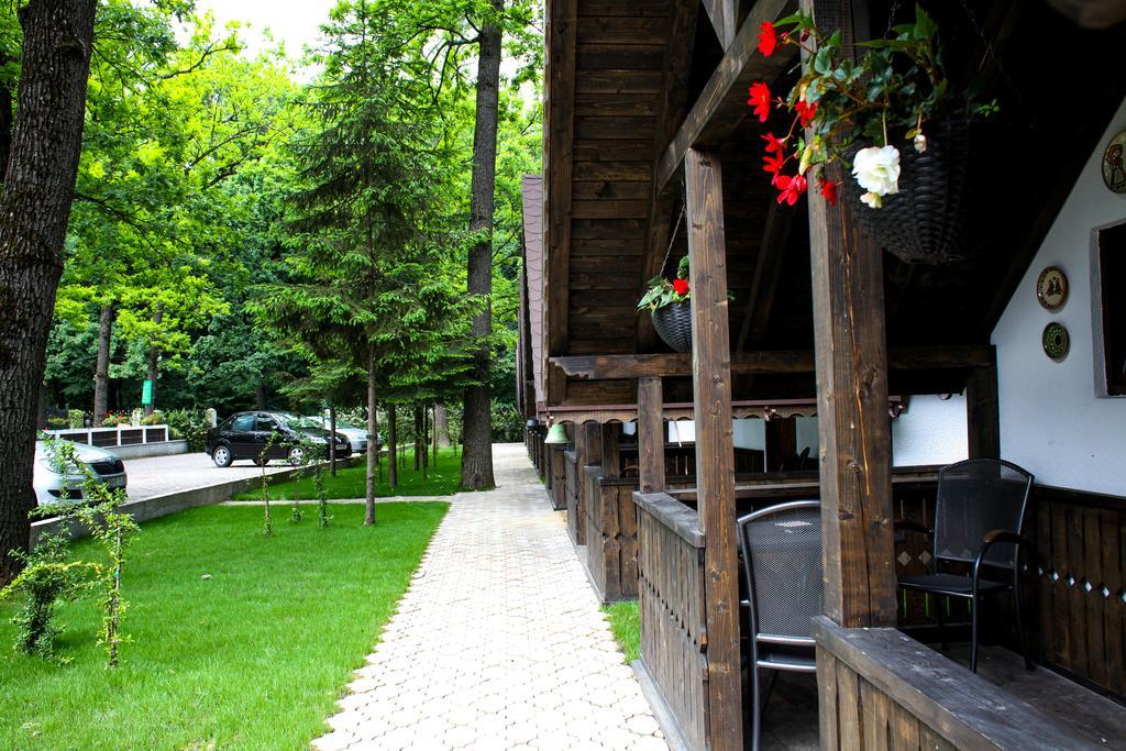 Cornul Vanatorului Bungalows Pitesti Exterior photo